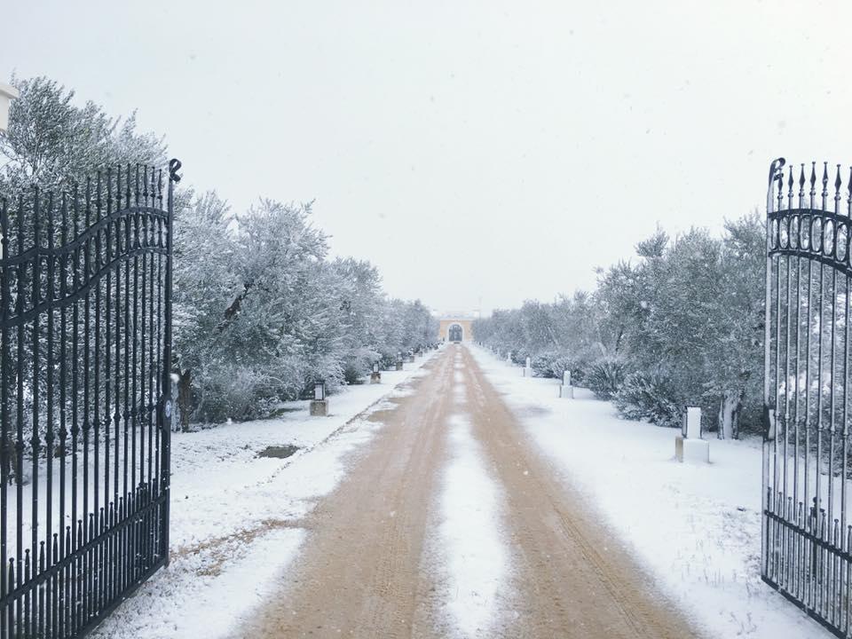 Tenuta Orsanese Marina di Ginosa Εξωτερικό φωτογραφία